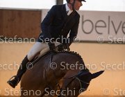 xx FZ TosTour2013- S5 3131 : Arezzo, Arezzo Equestrian Centre, Cavalli d'Italia, Toscana Tour 2013, foto di Stefano Secchi ©, xx FZ